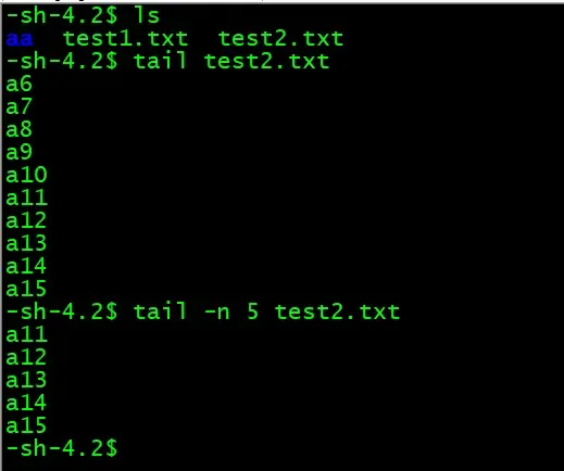 tail