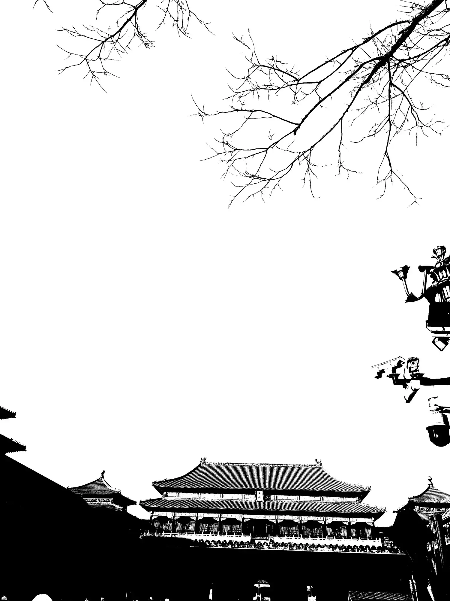 黑白色