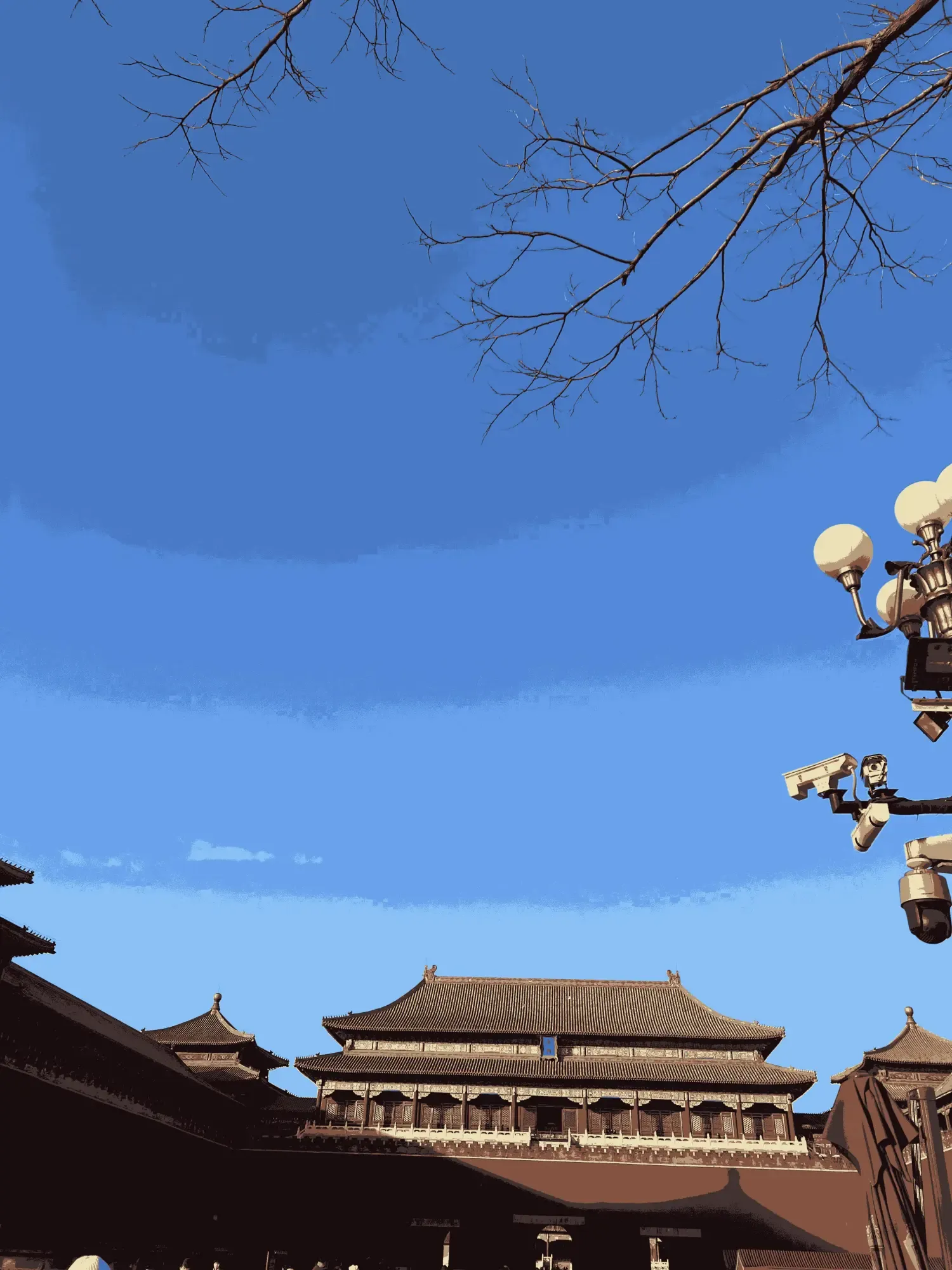10类