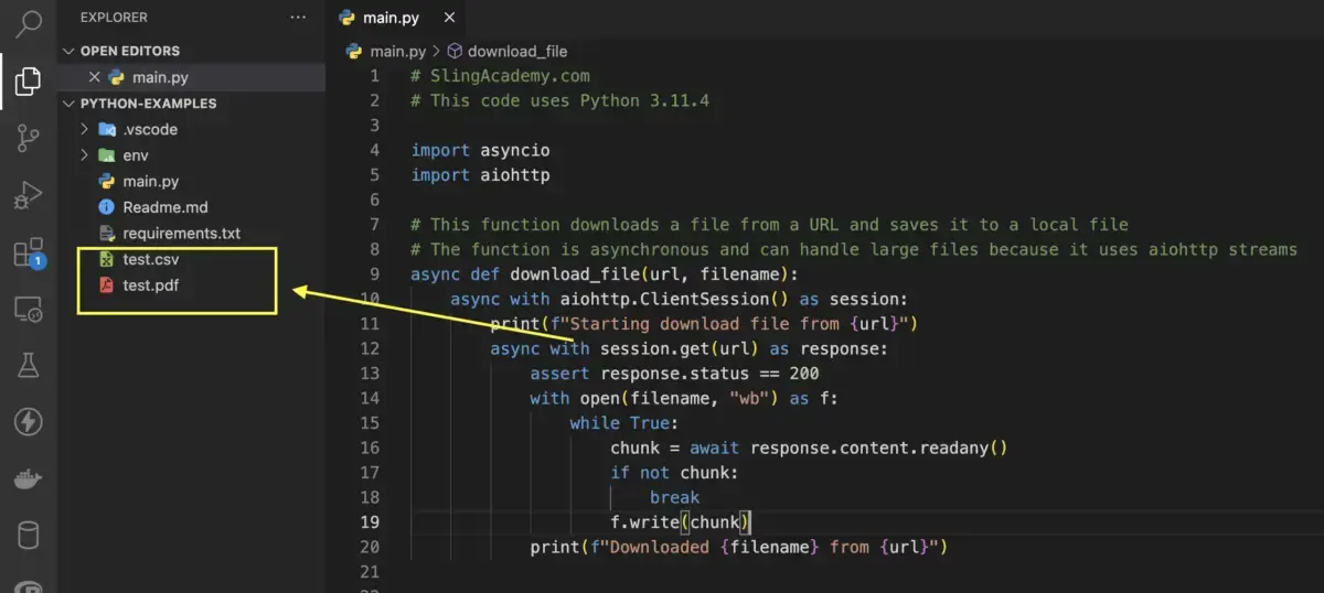 下载的文件位置